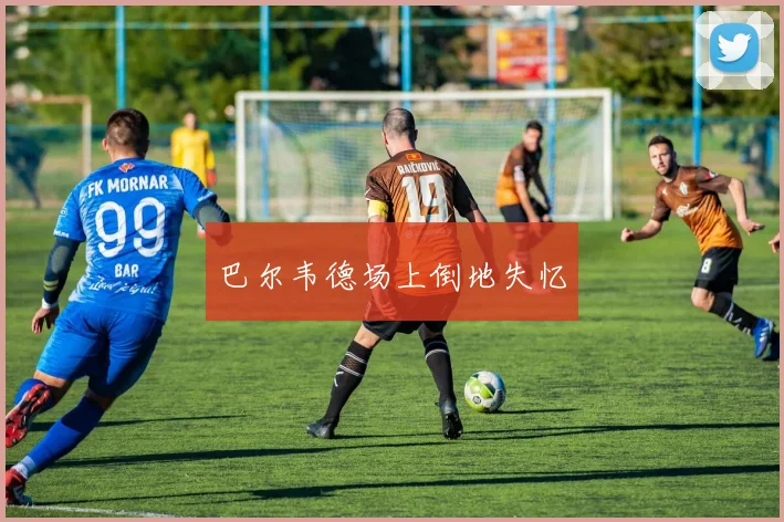 巴尔韦德场上倒地失忆